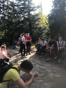 IMG 3412