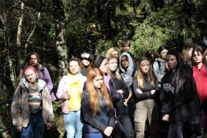 img 0226  copy 