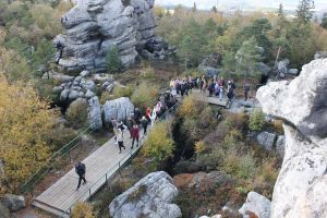 img 0243  copy 