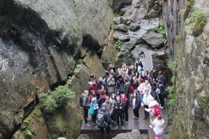 img 0305  copy 