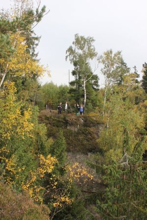 img 0637  copy 