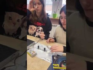 lo czarnkow klasa politechniczna