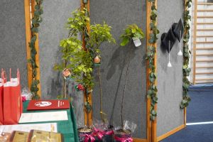 dsc00325 dsc00325