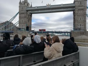 image115 image115