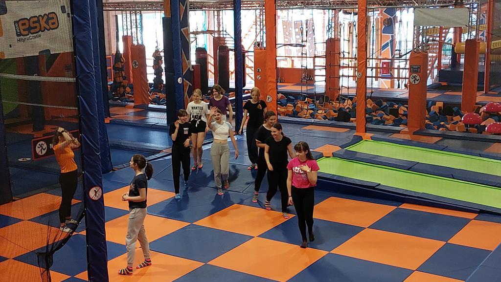 2d w parku trampolin