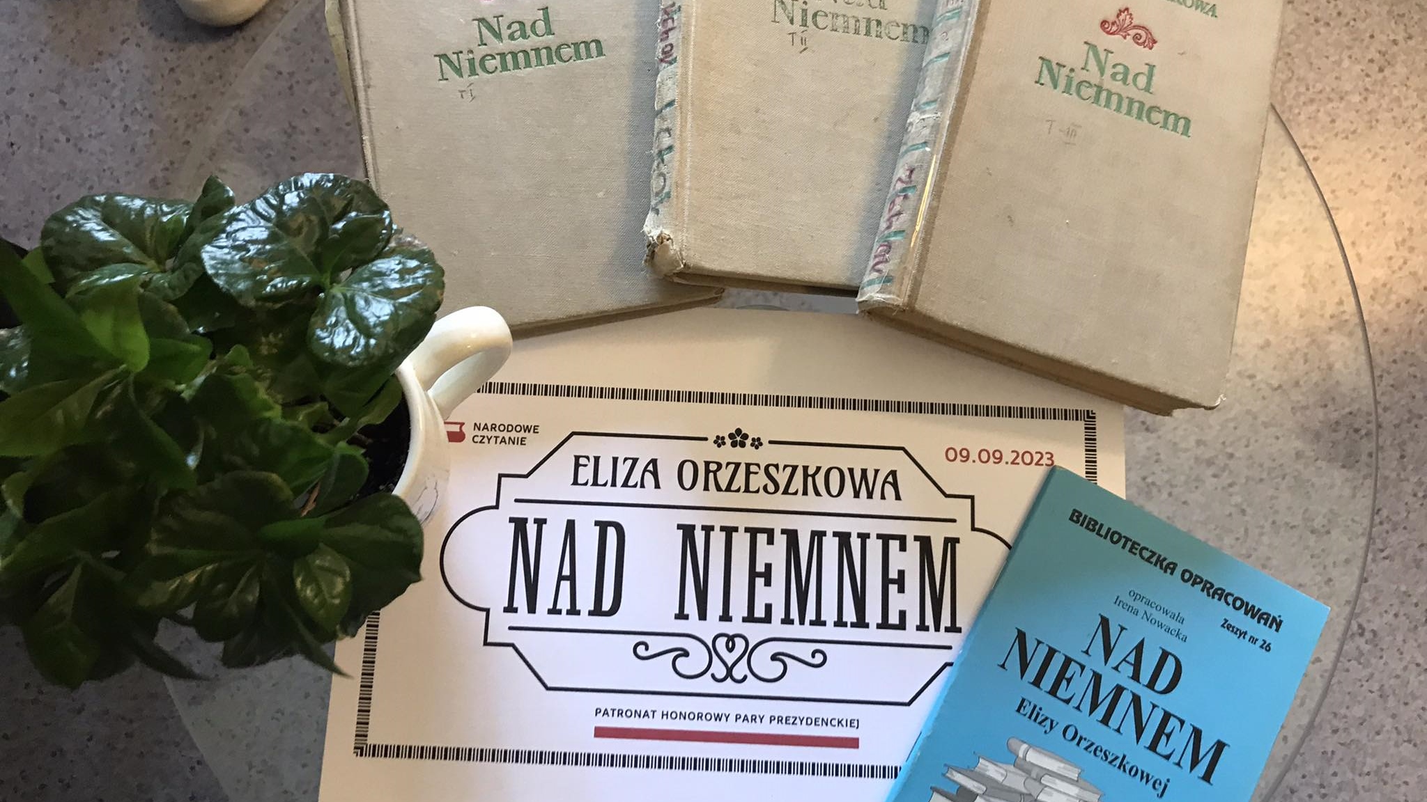 Nad Niemnem - Narodowe Czytanie 3a
